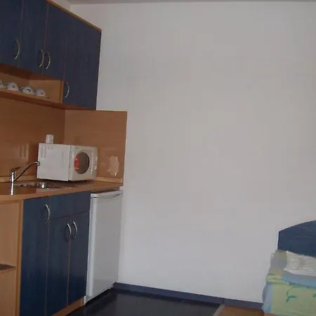 Guest house Petkovi 2*