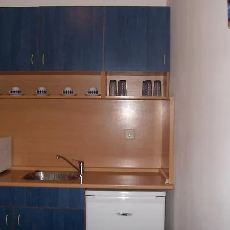 Petkovi Guest house 2*